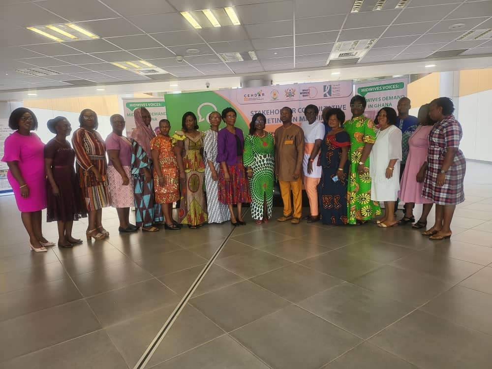 Midwives Voices